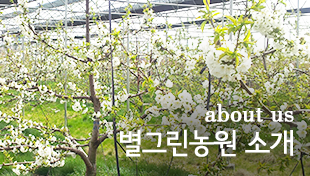 소개