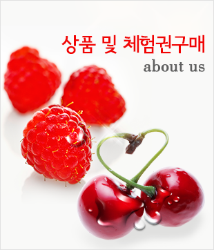 상품 및 체험권구매