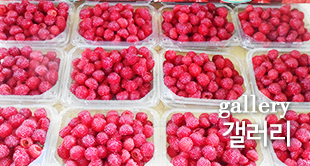 갤러리